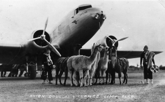 DC-2 with llamas (panamericangrace.com).